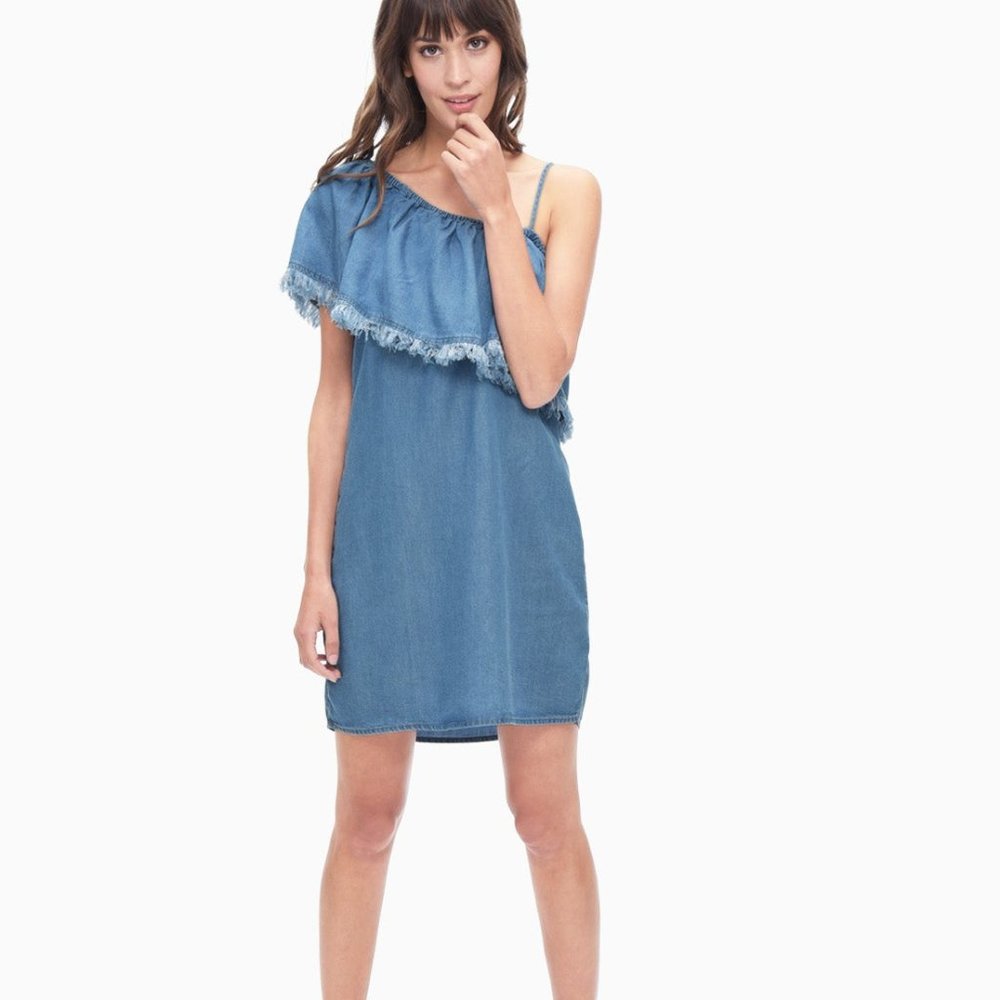 Splendid Indigo One Shoulder Dress